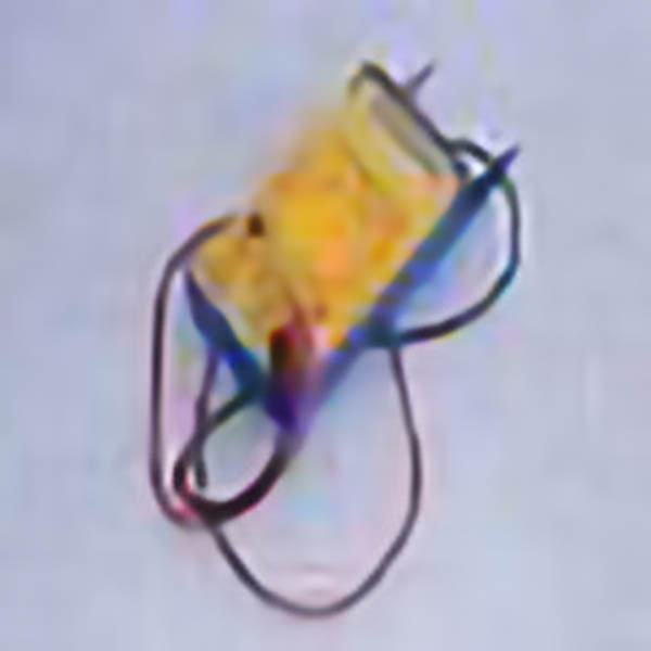 Meter Modelling